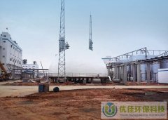300立方獨立氣柜 造紙廠項目